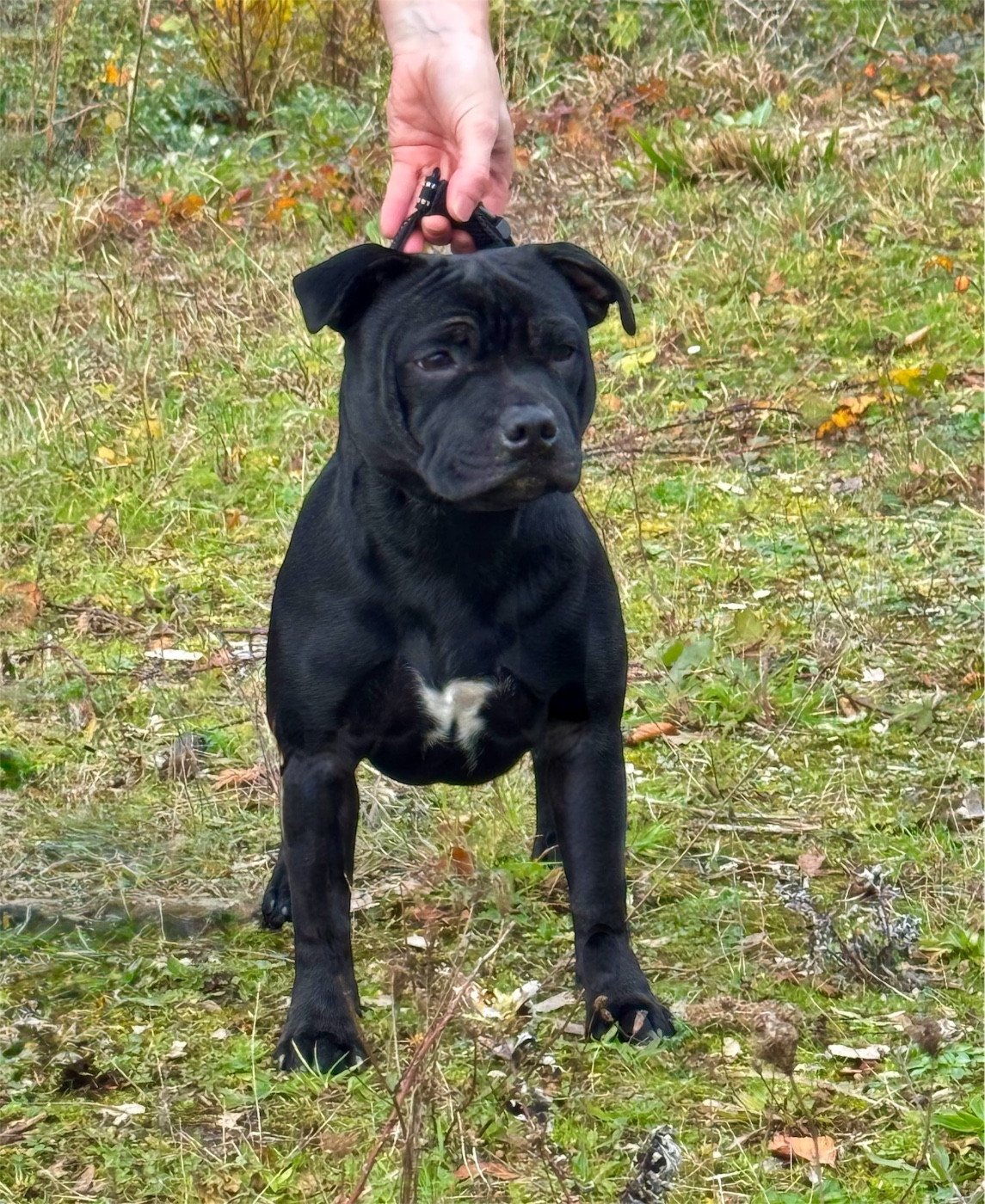 Addiction fatale Des Rebelles Chic